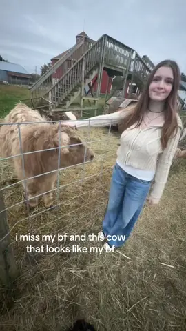 all i want is to be with him chat does it ever get easier #cow #farmlife #gotalittleboominmybigtruck #countryboy 