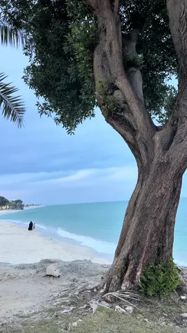 #الكويت🇰🇼 #تصويري📸 #عبدالله_رويشد_طرب #شتاء_الكويت 🇰🇼#سفير_الاغنية_الخليجية 