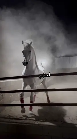 #أكسبلور_شعر_حكم_خواطر 