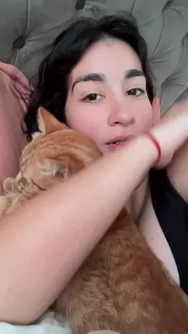 🐈🧡 #elgatodelvecino 