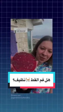 منو حلقه انظف؟ قط كلب او انسان 