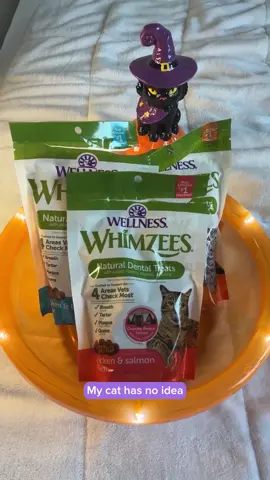 When your cat’s favorite snack also helps clean their teeth, that’s what we call the ultimate dental treat, no tricks involved 🪄🐈‍⬛ How’s your cat celebrating #NationalCatDay?