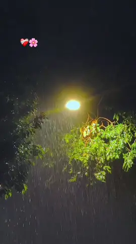 ইনশাআল্লাহ..🌸❤️‍🩹#fyp #trending #viralvideo #unfrezzmyaccount #bdtiktokofficial🇧🇩 