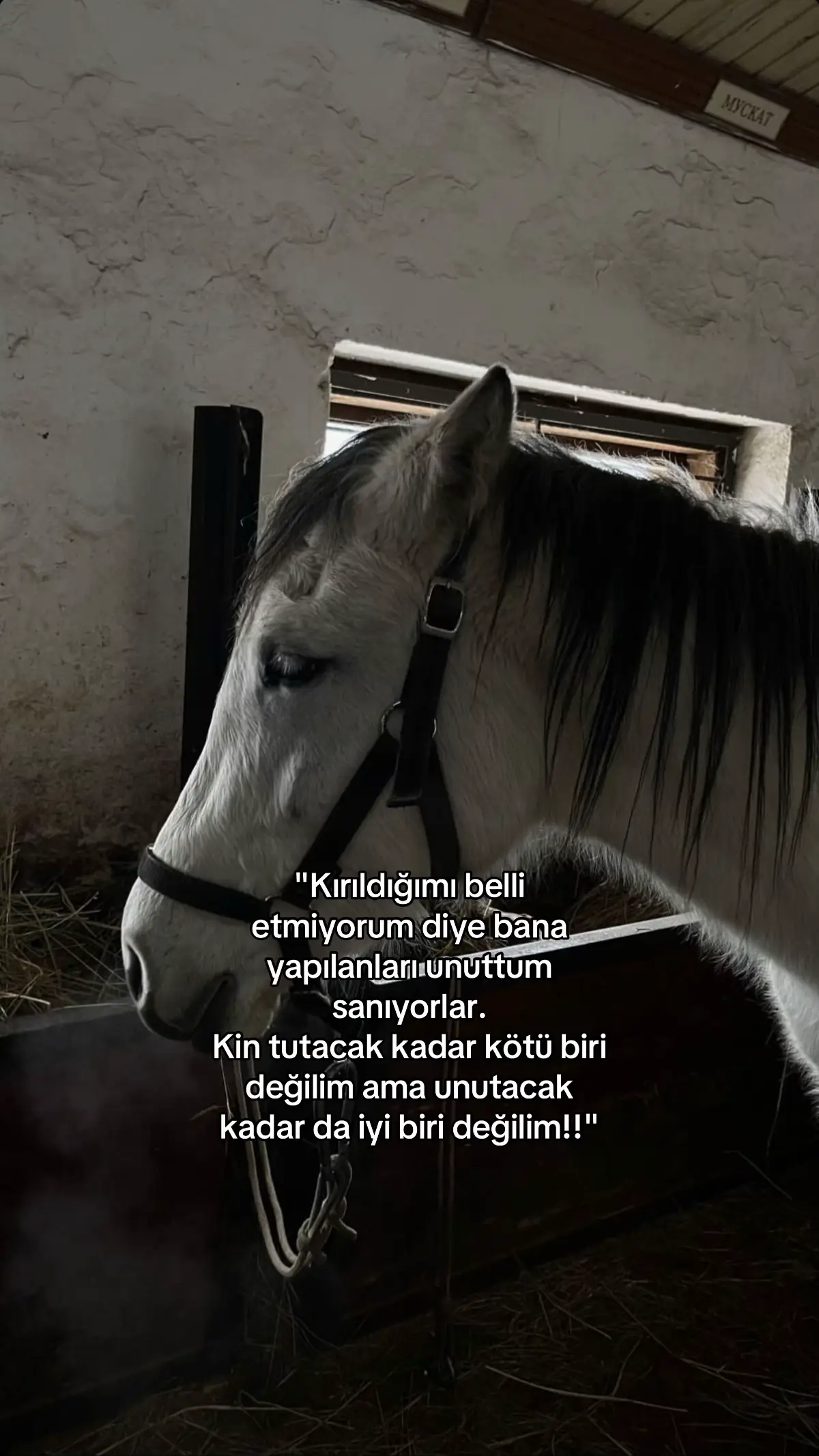 #beniöneçıkart #onecikarttiktok 