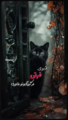 #CapCut Hu sir 🤚🖤 #تمپلیت_جدید  دونیـا پانــې ده 🙁💔 #تمپلیت_جدید #رپ_پشتو رپ_فارسی اهنګ_پشتو اهنک_افغانی  اهنک_ایران_غمگین_غاشقان creatorsearchinsights #oo__3salar_afg 