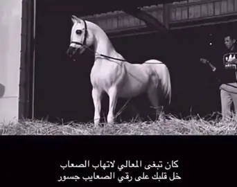 ##اكسبلور ##نجران ##مشاهدات ##ابن ##مجرب