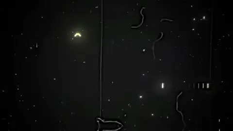 الجزء 108 | زرعت فدان جمايل واربعه معروف وروتهم بدمع عيني وقولت بكره اشوف 🖤.  #تصميمي #تصميم_فيديوهات🎶🎤🎬 #ترندات_تيك_توك #صلي_علي_النبي_محمد_صلي_الله_عليه 