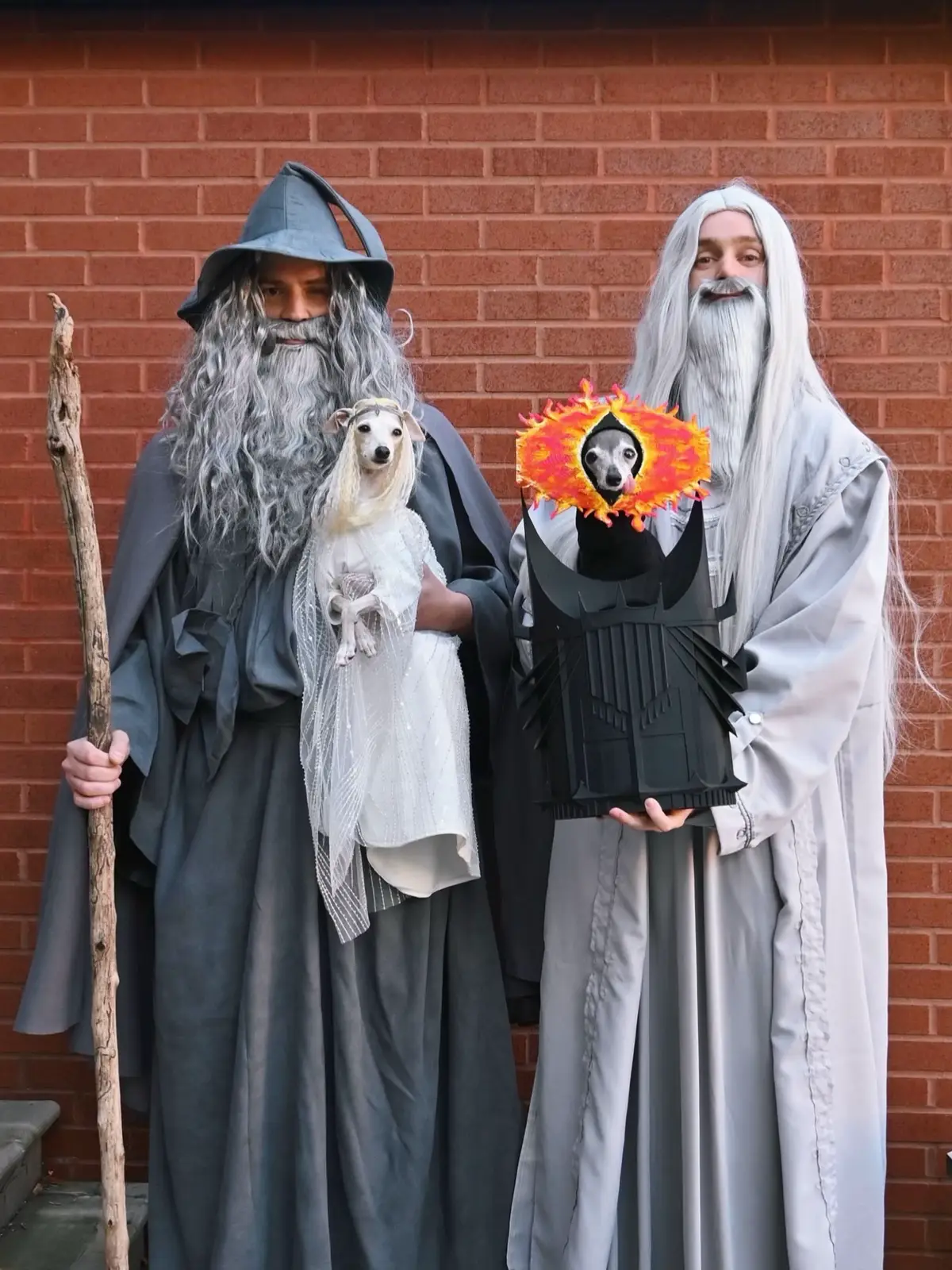 You shall not pass… the chance to see our Lord of The Rings Halloween costumes. 👁️🔥 As the all-seeing Eye of Sauron, I’m keeping watch over all of Middle-earth. Favourite Dad is keeping the hobbits in line as Gandalf the Grey, Second Favourite Dad is the ever-scheming Saruman, and sweet Kala is the luminous Lady Galadriel, guiding our two tiny hobbits on their very first quest.