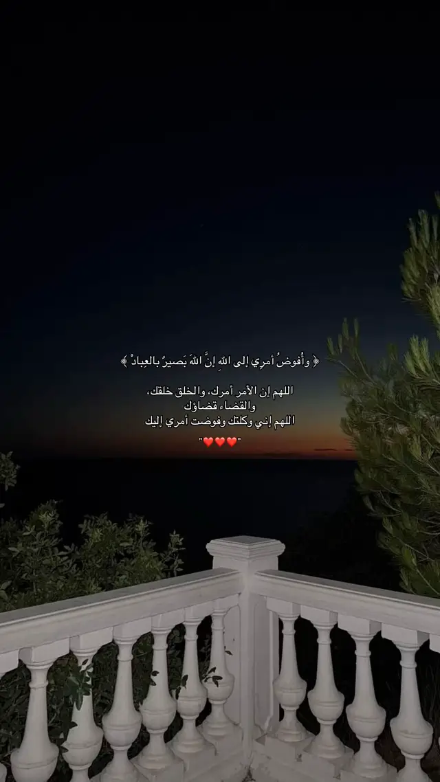 #يارب_فوضت_امري_اليك #quran #قرآن 