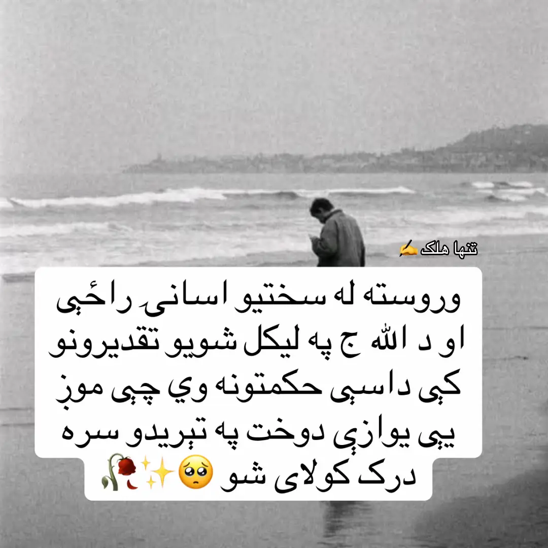 #forupage2024viral❤️❤️video✌support #afghanistan🇦🇫 #❤️❤️❤️❤️❤️❤️❤️❤️❤️❤️❤️🦋🦋🦋🦋🦋🦋🦋🦋 @🌹𝙂𝙋☘️𝙁𝙖𝙣𝙨💞𝘾𝙡𝙪𝙗✌️ and @Waliullah SAHIBZADA @𝚃𝙴𝙰𝙼𝚆𝙾𝚁𝙺 