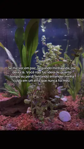 Às vezes, paz é simplesmente parar de se culpar por aquilo que nunca foi sua responsabilidade. #saudementalimporta #fouryou #fyp 