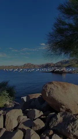 #القارئ #ماهرالمعيقلي #🖤✨ #quran #fyp #قران #sb3zaid0 