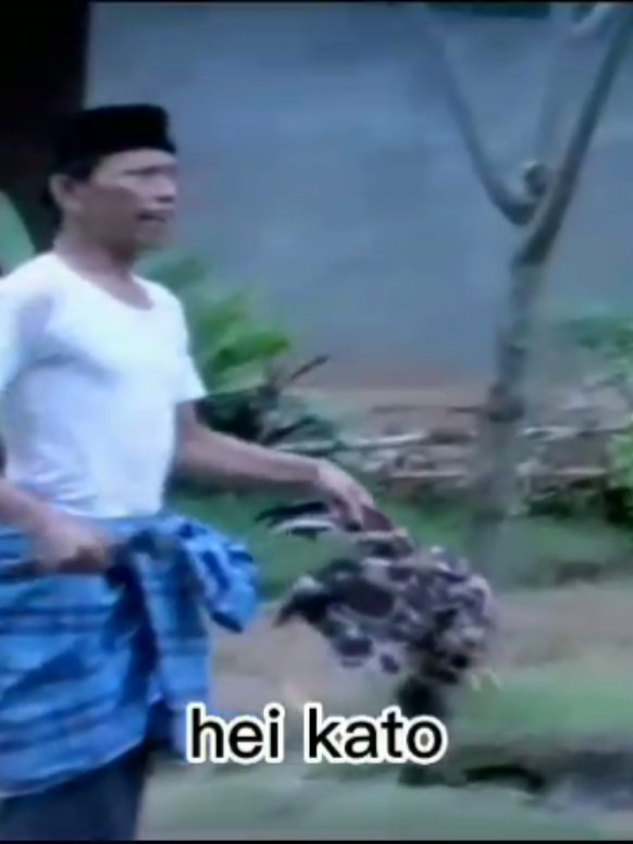 ayam jago gua kelindes hahaha#hj.bokir#bokir #tembokderita #betawi #fyppppppppppppppppppppppp 