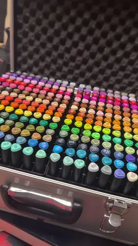 J’ai pas encore eu le temps d’attaquer le nuancier des twinmarkers 300 … #twinmarker #cozycoloring #arttherapy 