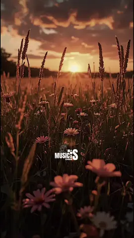 Los Bukis - Tus mentiras  #losbukis #tusmentiras #rolitaschidas #paradedicar #letrasdecanciones 