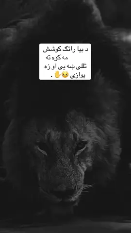 #pashtun📚✍️‼️📕 