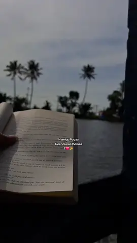 #fyp #Hamigu Foga Oo Geeridu Dhawaa😞🥺