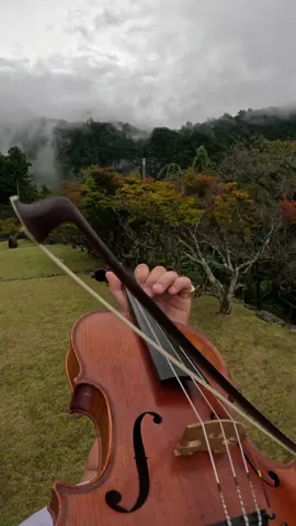 Autumn 🍂 X Golden Brown babyyyy