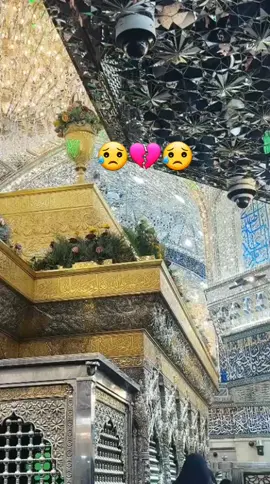 #السلام_عليك_يااباعبد#الله_ضام_عشكك#بيه_ضمه_صوغه#سيدفاقد