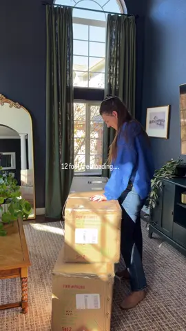 No one bother me, I need to build and fluff a 12 foot @kingofchristmas tree 😅🫶🏻❤️ #christmastree #12foottree #kingofchristmas #christmasloading #christmasiscoming 