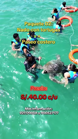 🌊✨ ¡Vive la experiencia completa! Disfruta del 🐢 nado con tortugas en su hábitat natural y luego relájate con un increíble paseo costero por nuestras hermosas playas 🏖️💙 Una aventura perfecta para conectar con la naturaleza, tomar fotos espectaculares 📸 y vivir momentos inolvidables 🌅 👉 Reserva con AVENTOURS LOS ÓRGANOS y haz de tu día una experiencia mágica 💫 #peru🇵🇪 #LosÓrganosPerú #nadocontortugas #fyp 