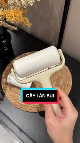 Cây lăn bụi mini #vutrudogiadung #caylanbui 