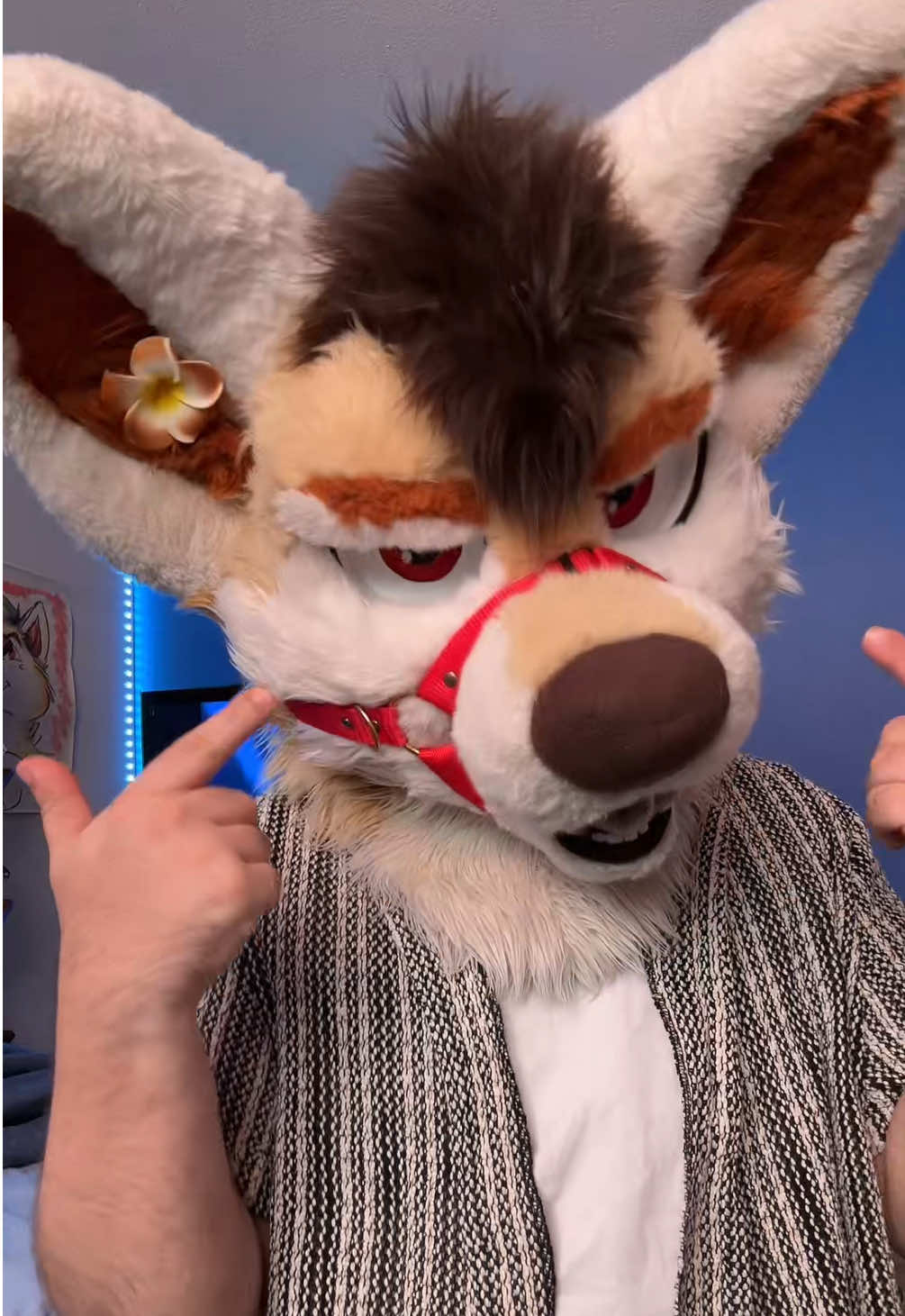 Did I make you smile :) #furry #fursuit #furrytiktok #furryconvention #furrymeme 