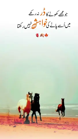 جو مجھے کھونے کا ڈر نہ رکھے میں اُسے پانے کی خواہش نہیں رکھتا#fyp #deeplinespoetry🥀 #cupcut #viralvideo 