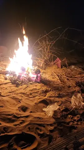 اليمن# مارب # الوادي#عبيده