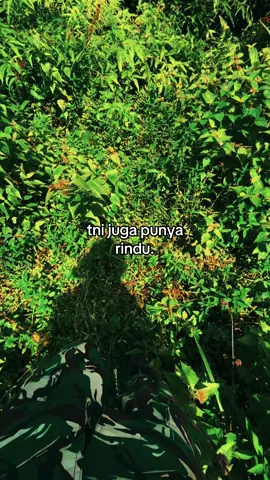 kampung halaman #tniindonesia🇮🇩 #tentaranasionalindonesia #fyp #tniad 