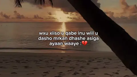 Aabe.💔 #shaam_✨️🤍 #fypシ゚viral #viralvideo #foryoupage 
