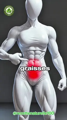 Vous cherchez l’exercice le plus efficace pour brûler les graisses sans matériel ? 💪 Les burpees font tout : cardio, force, endurance et perte de poids rapide. 3 séries de 15 par jour, et votre corps vous dira merci 🔥 #burpess #Fitness #brulegraisse #basicfit #gym 