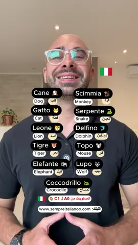 اشترك دلوقتي: www.sempreitalianoo.com #learnitalian #fyp #italian   ‎#ايطالي  #ايطاليا🇮🇹 