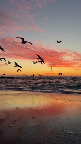 #море#sunriseview #🌊🌊 #sunrisemusic #recommend 