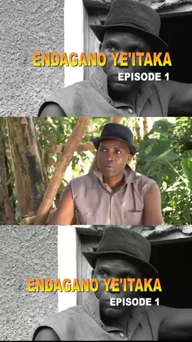 #banyankoletiktokfamily #they are back🤣who missed them🙌