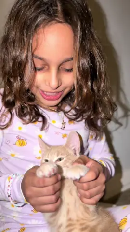 اعلم القطوة teach the cat😂 #yemeni #fyp #اكسبلور #diyala_zayed