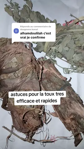 Réponse à @dougoune.konat 