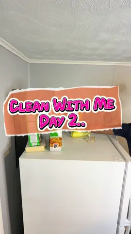 Clean With Me Day 2… cleaning everyday until I reach 2k! My throat is hurting so no voiceover.! I love #lysol . Especially now during these sick months! #MomsofTikTok #momlife #CleanTok #cleaningtiktok 