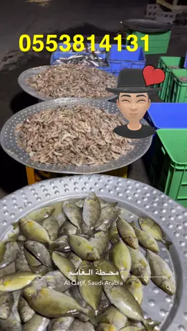 #عروض أسماك وروبيان أبو حسن الطازجة #المنطقة_الشرقية#القطيف#الجش#علي المطر أبوحسن 