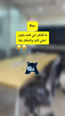 لما افتكر اني كنت بقول امتي اكبر واشتغل بقا: