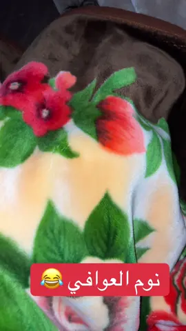 #ابوبتال_الحياني  #اكسبلور  #واضح انهم نايمين 🙄🤣