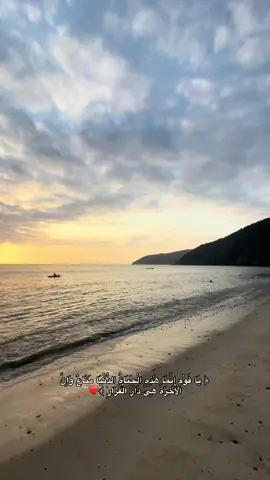 #quran#algeria#fyp#اجر_لي_ولكم#صدقة_جارية