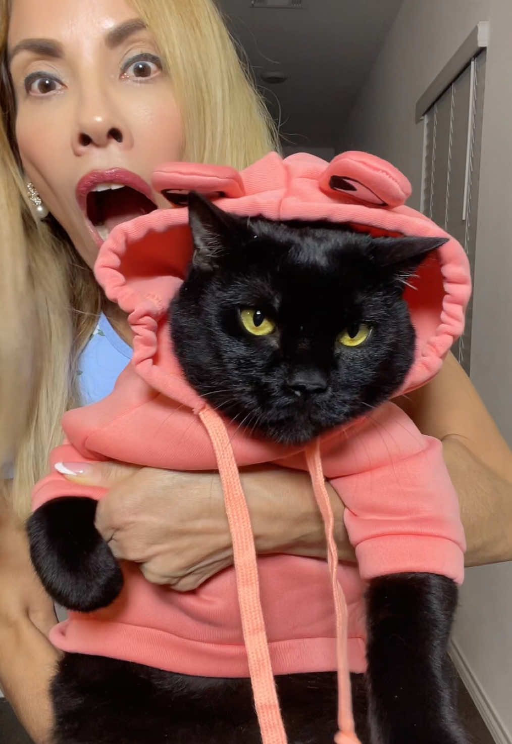 El es diferente y no es pandillero #catlover#catdancer#cutecat