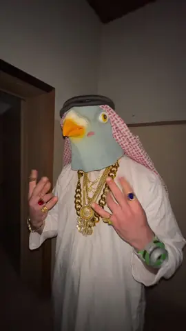 MR.PIGEON🐦💵👑DUBAINITO 📊💪🏻IS SUPER FRESH😨🕶️💨#moneytalks #viral #foryou 