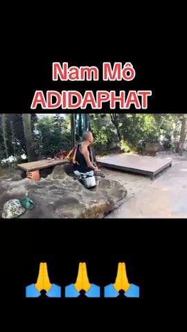 Phật Minh Tuệ #TamvaTuong #dauchankyniem #xuhuongtiktok 