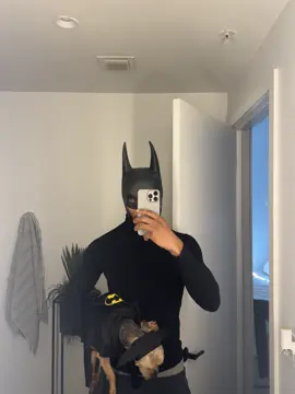 Like Father like Son!!! It’s a Batman Halloween!!! 🎃  #fyp #tiktok #halloween #batman #dog 