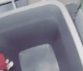 ژیــانــت واشــێــوانـــدم لـەکـــاتـێــکــابــەتــەمــابــوم ژیــــانـت لــــەگــەڵ  دروســت بــکـەم🖤:).  #foryouuuuuuuuuuuuu #actives? #دڵن_هەموو_شارەکان❤ئەکتیڤ 