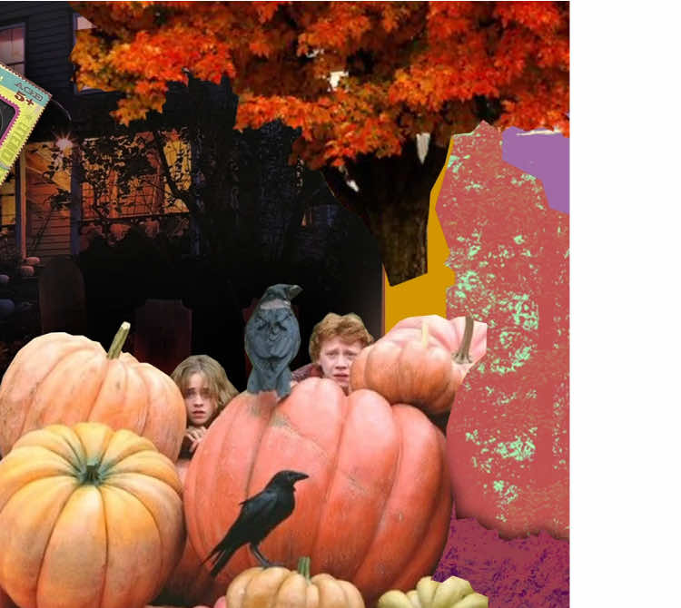 happy halloween #halloween   #witch #fall 