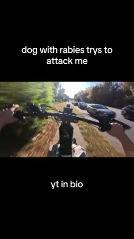 #fyp #surron #ebike #talaria 