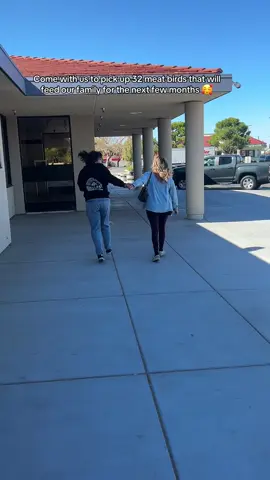 I love doing homestead things, but I love doing them with my best friend even more. About 3½ years ago, we got laying hens together. Then we got cows and raised them for beef. Now, our next adventure will be raising our own meat chickens for our families. 